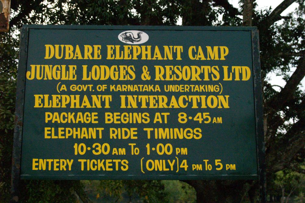 Dubare Elephant Camp (1).jpg